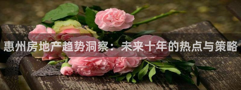 风暴娱乐求333OOa：惠州房地产趋势洞察：未来十年的热点与