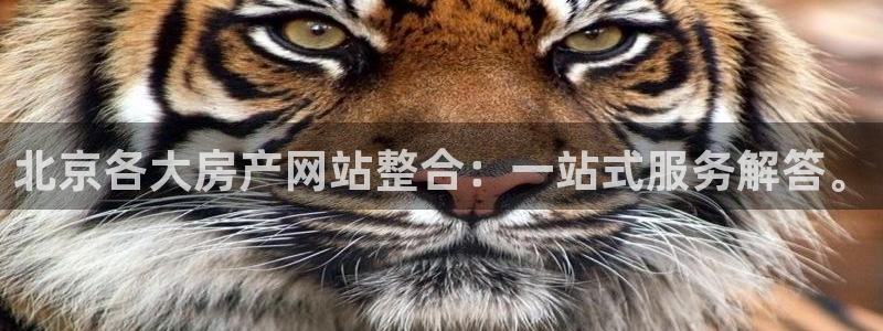 风暴英雄娱乐：北京各大房产网站整合：一站式服务解答。