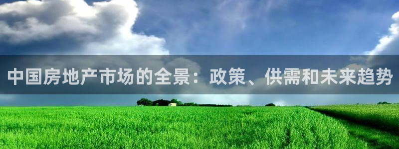 风暴娱乐点：中国房地产市场的全景：政策、供需和未来趋势