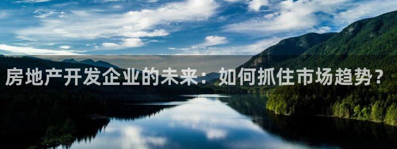 注册风暴娱乐：房地产开发企业的未来：如何抓住市场趋势？