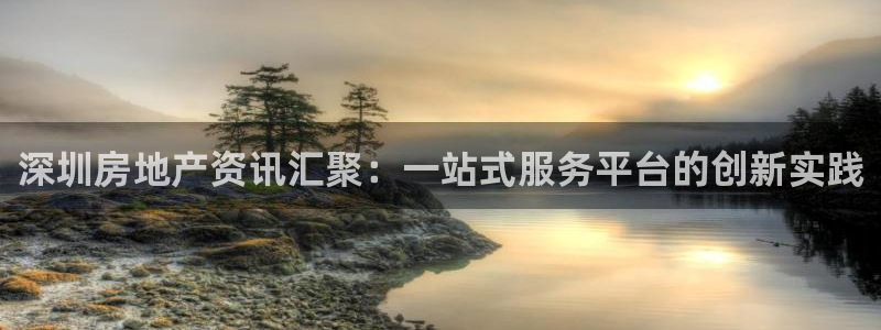 风暴娱乐眼：深圳房地产资讯汇聚：一站式服务平台的创新实践
