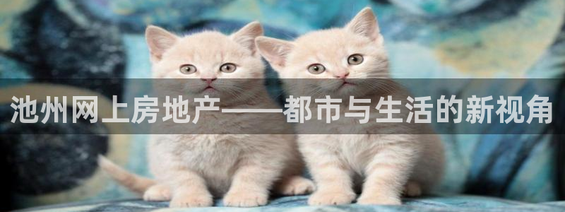 风暴娱乐40996：池州网上房地产——都市与生活的新视角