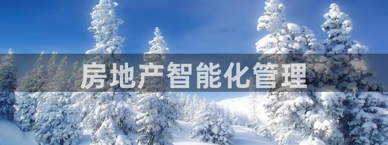 风暴娱乐注册网址：房地产智能化管理