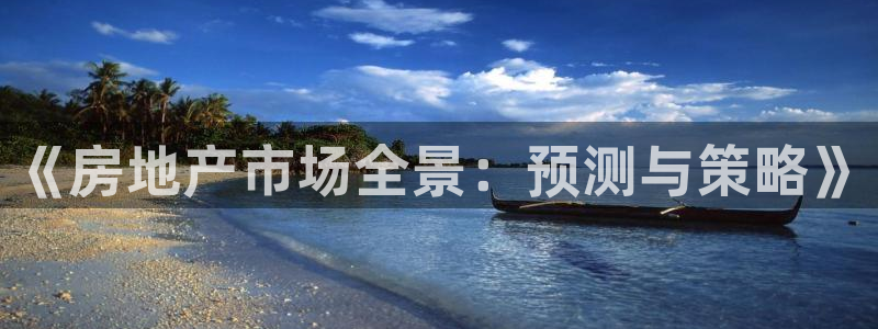 风暴娱乐注册网址：《房地产市场全景：预测与策略》