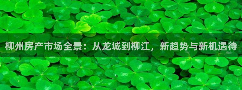 风暴娱乐记：柳州房产市场全景：从龙城到柳江，新趋势与新机遇待