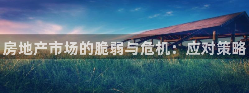 风暴娱乐求333OOa：房地产市场的脆弱与危机：应对策略