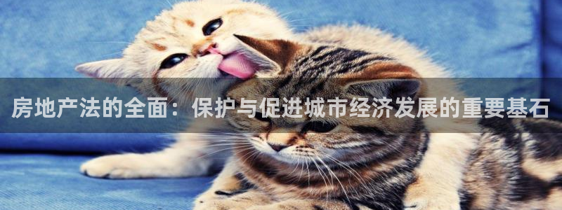菲律宾风暴娱乐集团：房地产法的全面：保护与促进城市经济发展的