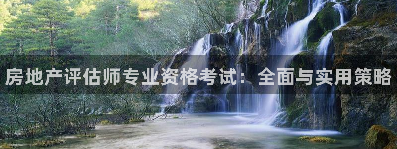 风暴娱乐求333OOc：房地产评估师专业资格考试：全面与实用