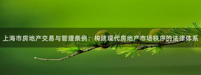 风暴娱乐 北京：上海市房地产交易与管理条例：构建现代房地产市