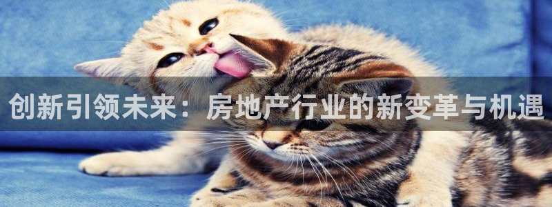风暴娱乐眼：创新引领未来：房地产行业的新变革与机遇
