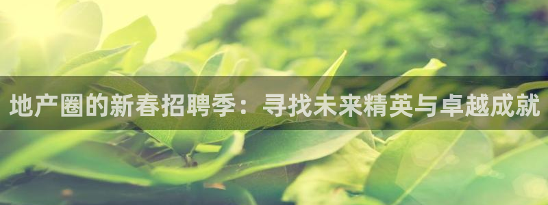 风暴娱乐银川：地产圈的新春招聘季：寻找未来精英与卓越成就