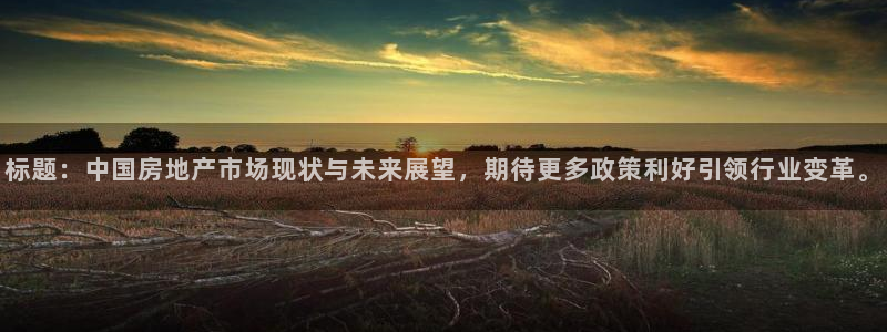 风暴娱乐地5指尖：标题：中国房地产市场现状与未来展望，期待更
