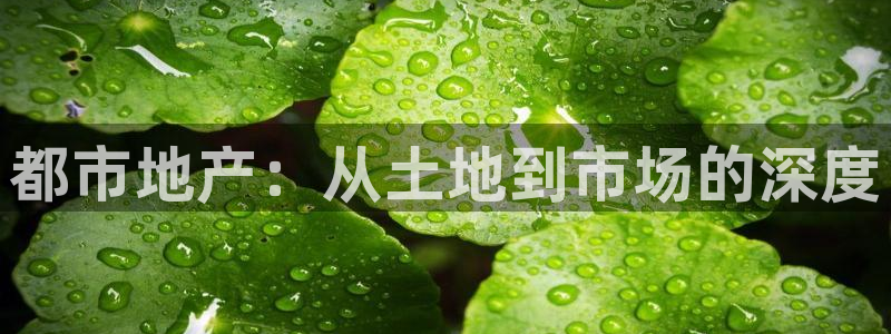 风暴娱乐派对：都市地产：从土地到市场的深度
