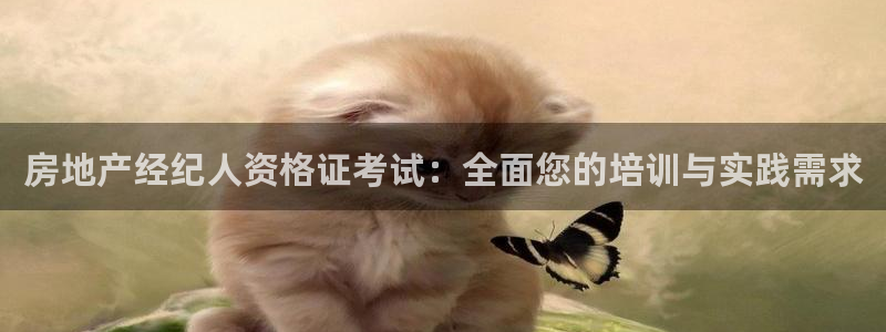 风暴娱乐月5指尖：房地产经纪人资格证考试：全面您的培训与实践