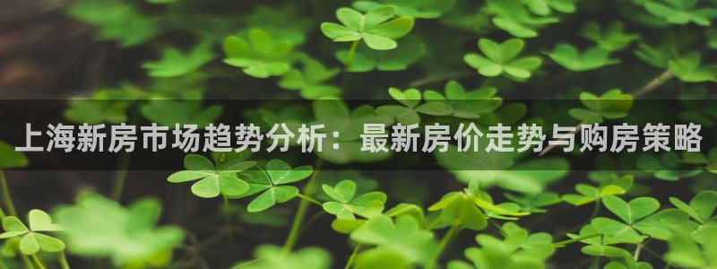风暴娱乐套路：上海新房市场趋势分析：最新房价走势与购房策略