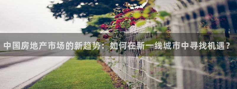 风暴娱乐字图片大全：中国房地产市场的新趋势：如何在新一线城市