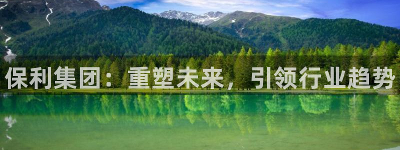 万万娱乐风暴：保利集团：重塑未来，引领行业趋势