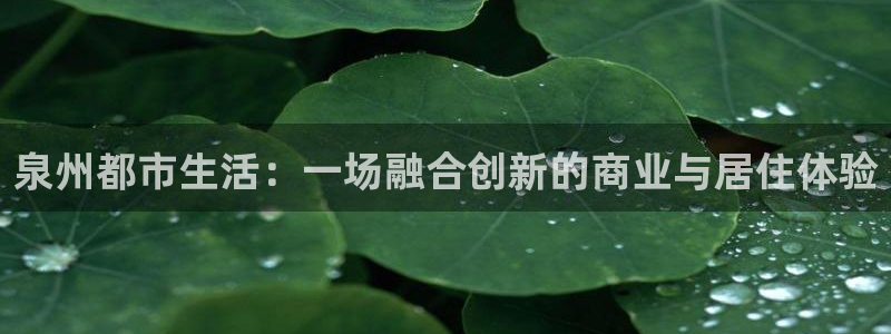 风暴娱乐主管是谁：泉州都市生活：一场融合创新的商业与居住体验