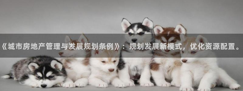 风暴娱乐首页：《城市房地产管理与发展规划条例》：规划发展新模