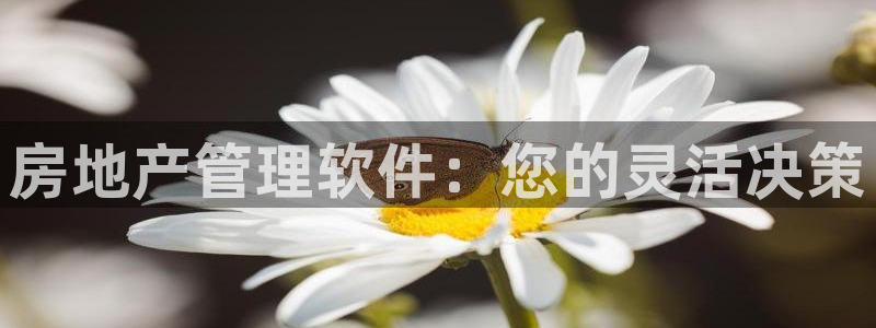 风暴娱乐1：房地产管理软件：您的灵活决策