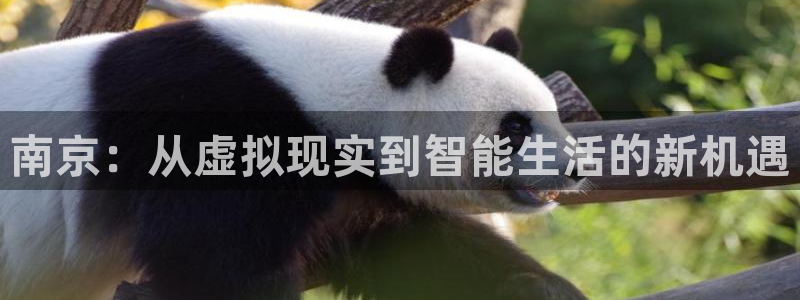 风暴娱乐测速：南京：从虚拟现实到智能生活的新机遇