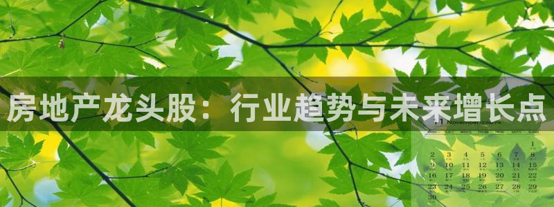 菲律宾风暴娱乐集团：房地产龙头股：行业趋势与未来增长点