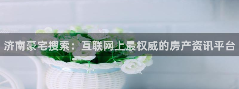 风暴娱乐右5指尖：济南豪宅搜索：互联网上最权威的房产资讯平台
