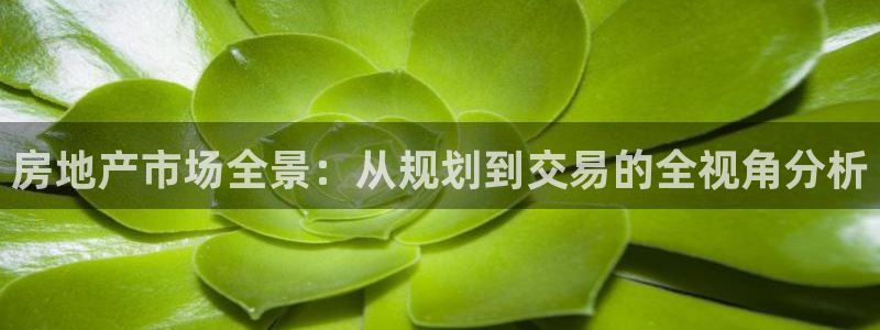 风暴娱乐40996：房地产市场全景：从规划到交易的全视角分析