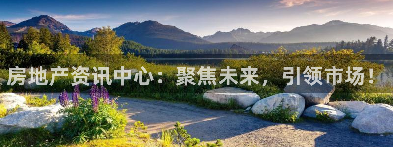 风暴娱乐网：房地产资讯中心：聚焦未来，引领市场！
