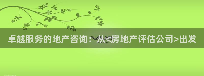 风暴娱乐1：卓越服务的地产咨询：从<房地产评估公司>出发