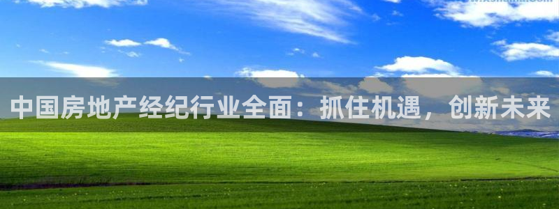 风暴娱乐拉菲8：中国房地产经纪行业全面：抓住机遇，创新未来