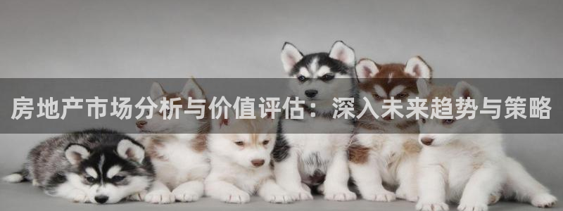 风暴娱乐银川：房地产市场分析与价值评估：深入未来趋势与策略