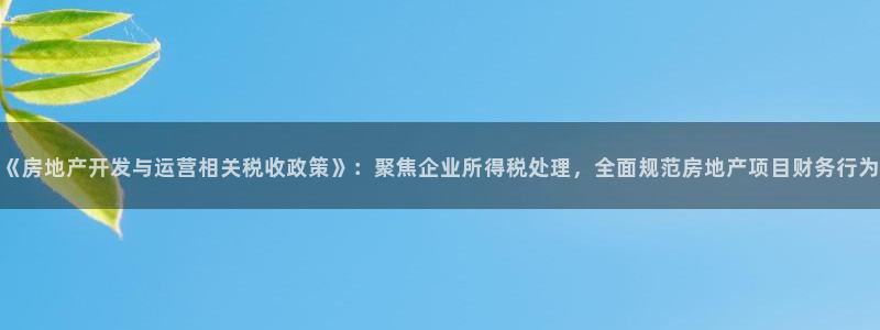 风暴娱乐套路：《房地产开发与运营相关税收政策》：聚焦企业所得