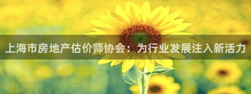 注册风暴娱乐：上海市房地产估价师协会：为行业发展注入新活力