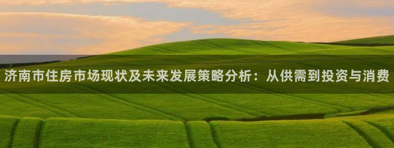 风暴娱乐注册网址：济南市住房市场现状及未来发展策略分析：从供