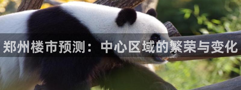 风暴娱乐登录网址：郑州楼市预测：中心区域的繁荣与变化