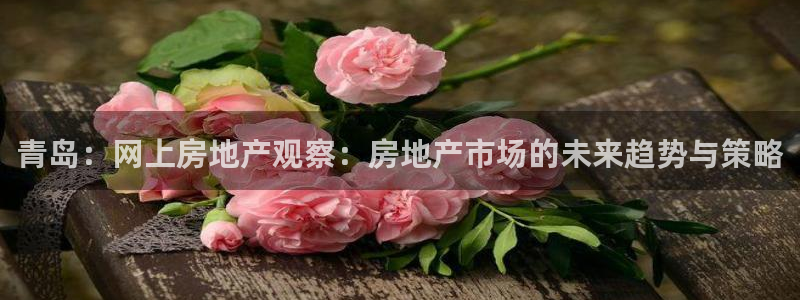风暴娱乐园：青岛：网上房地产观察：房地产市场的未来趋势与策略