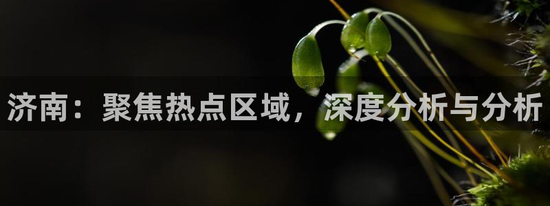 风暴娱乐线路：济南：聚焦热点区域，深度分析与分析