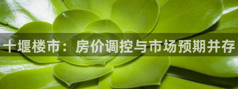 万万娱乐风暴：十堰楼市：房价调控与市场预期并存