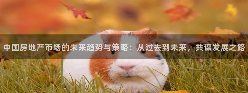 风暴娱乐求333OOc：中国房地产市场的未来趋势与策略：从过