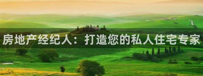 风暴娱乐待遇：房地产经纪人：打造您的私人住宅专家