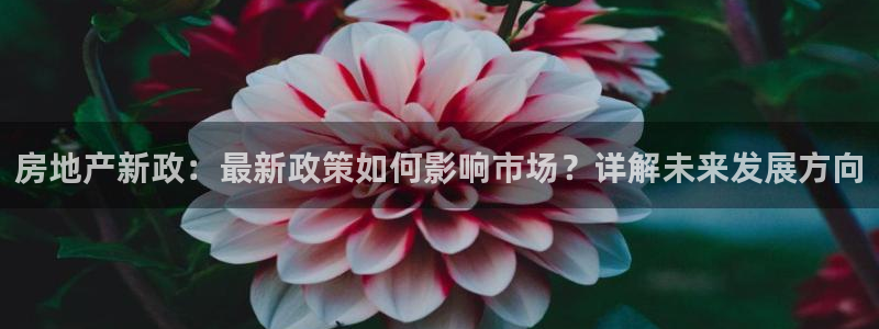 风暴娱乐园：房地产新政：最新政策如何影响市场？详解未来发展方