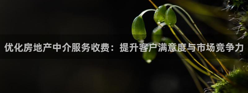风暴娱乐测速：优化房地产中介服务收费：提升客户满意度与市场竞