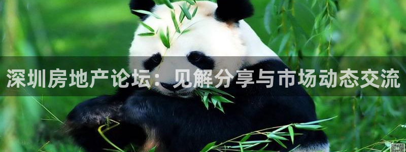 菲律宾风暴娱乐集团：深圳房地产论坛：见解分享与市场动态交流