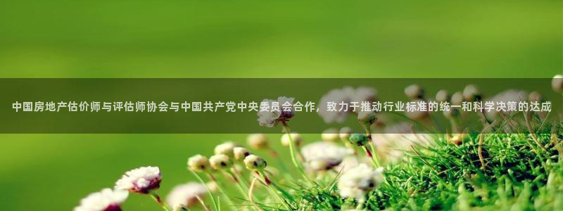 娱乐星空风暴：中国房地产估价师与评估师协会与中国共产党中央委