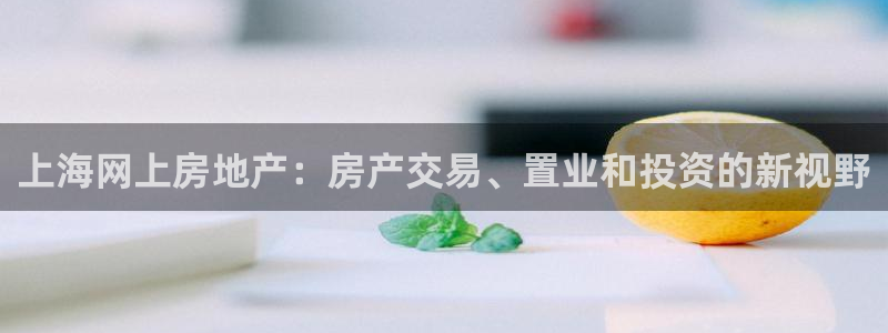 风暴新娱乐：上海网上房地产：房产交易、置业和投资的新视野