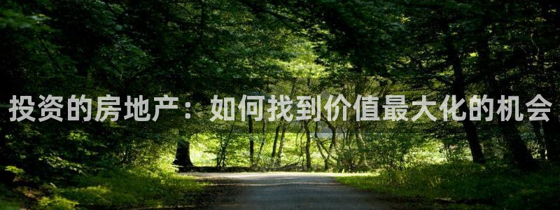 风暴娱乐求333OOc：投资的房地产：如何找到价值最大化的机