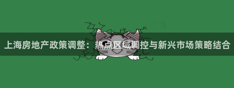 风暴娱乐部：上海房地产政策调整：热点区域调控与新兴市场策略结