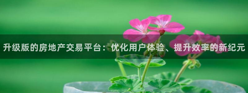 风暴娱乐自动挂：升级版的房地产交易平台：优化用户体验、提升效