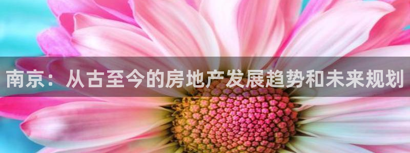 风暴娱乐主管是谁：南京：从古至今的房地产发展趋势和未来规划